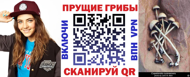 Галлюциногенные грибы мицелий  Выборг 